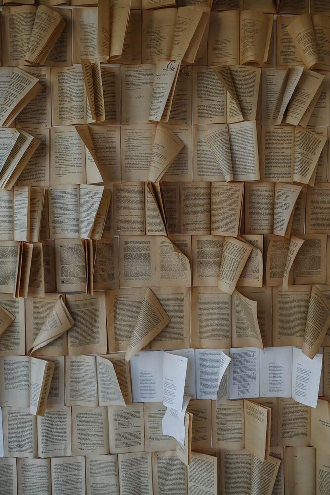 Rows of open books laid flat, representing theory, study and clinical supervision